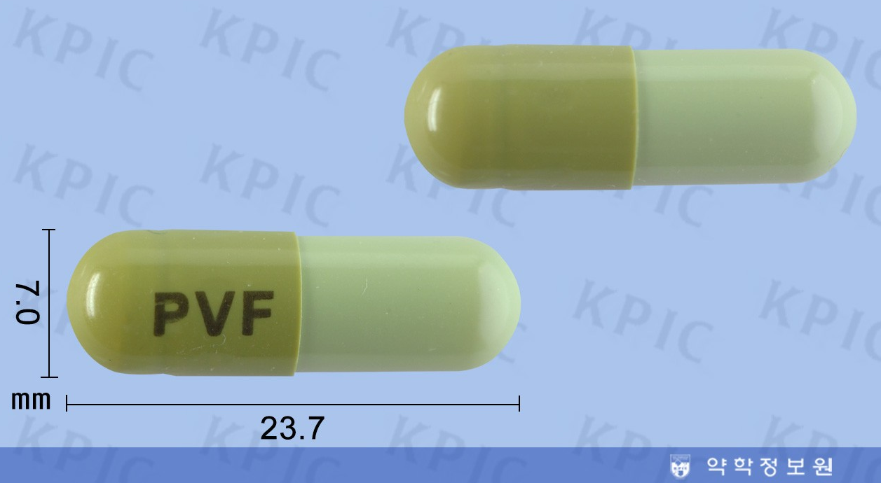 프라바페닉스캡슐: 성분, 효능, 올바른 복용법 및 사용 시 주의사항 완벽 가이드