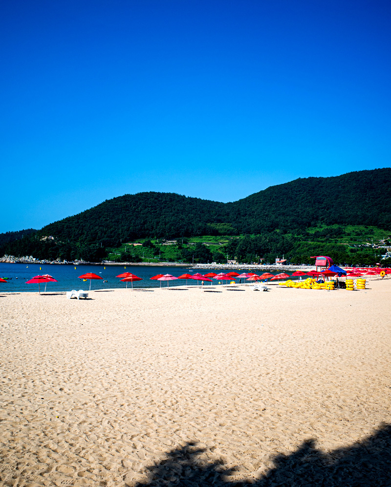 남해 상주 은모래축제 완벽 가이드: 은빛해변의 여름 썸머페스티벌부터 겨울 해맞이 축제까지!