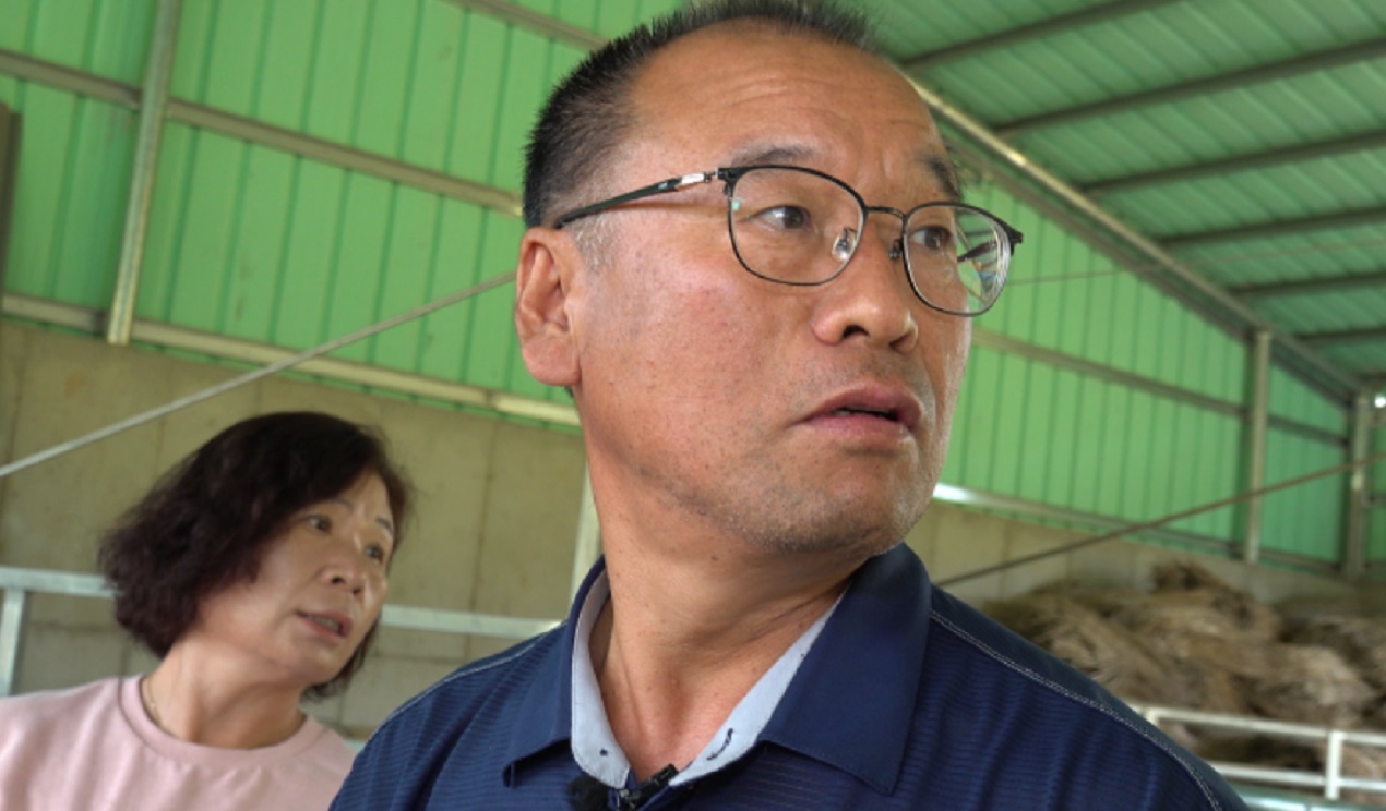 힘을내요-영철씨-인간극장-강진-흑염소