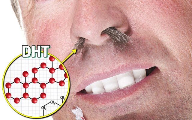 코털 콧털 눈썹 길게 나는 이유,탈모,건강