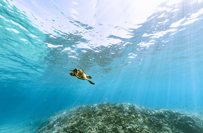 오키나와 1월 날씨