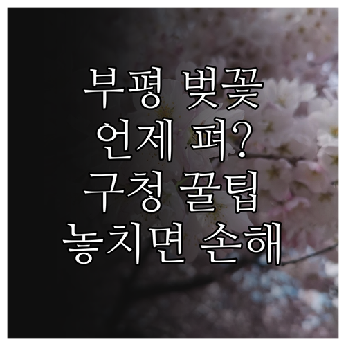 부평 벚꽃 개화 예상 시기 및 구청 ..