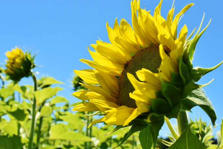 근로장려금이란?