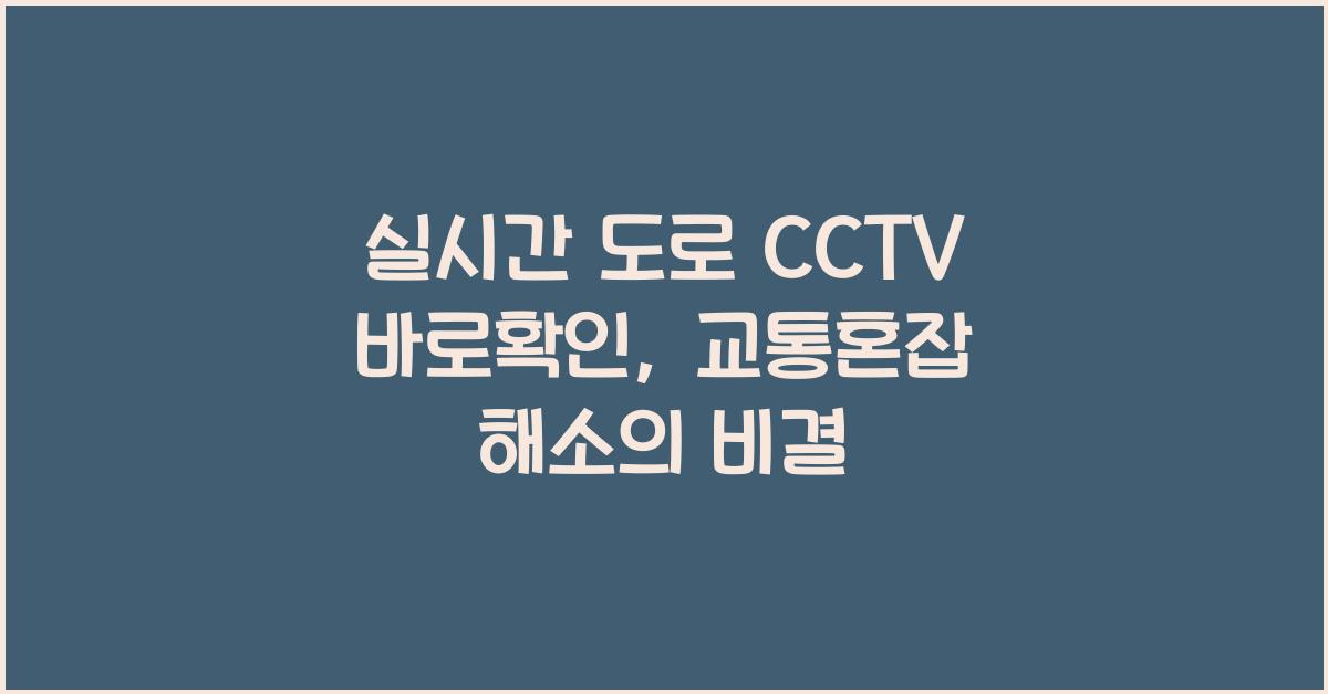 실시간 도로 cctv 바로확인