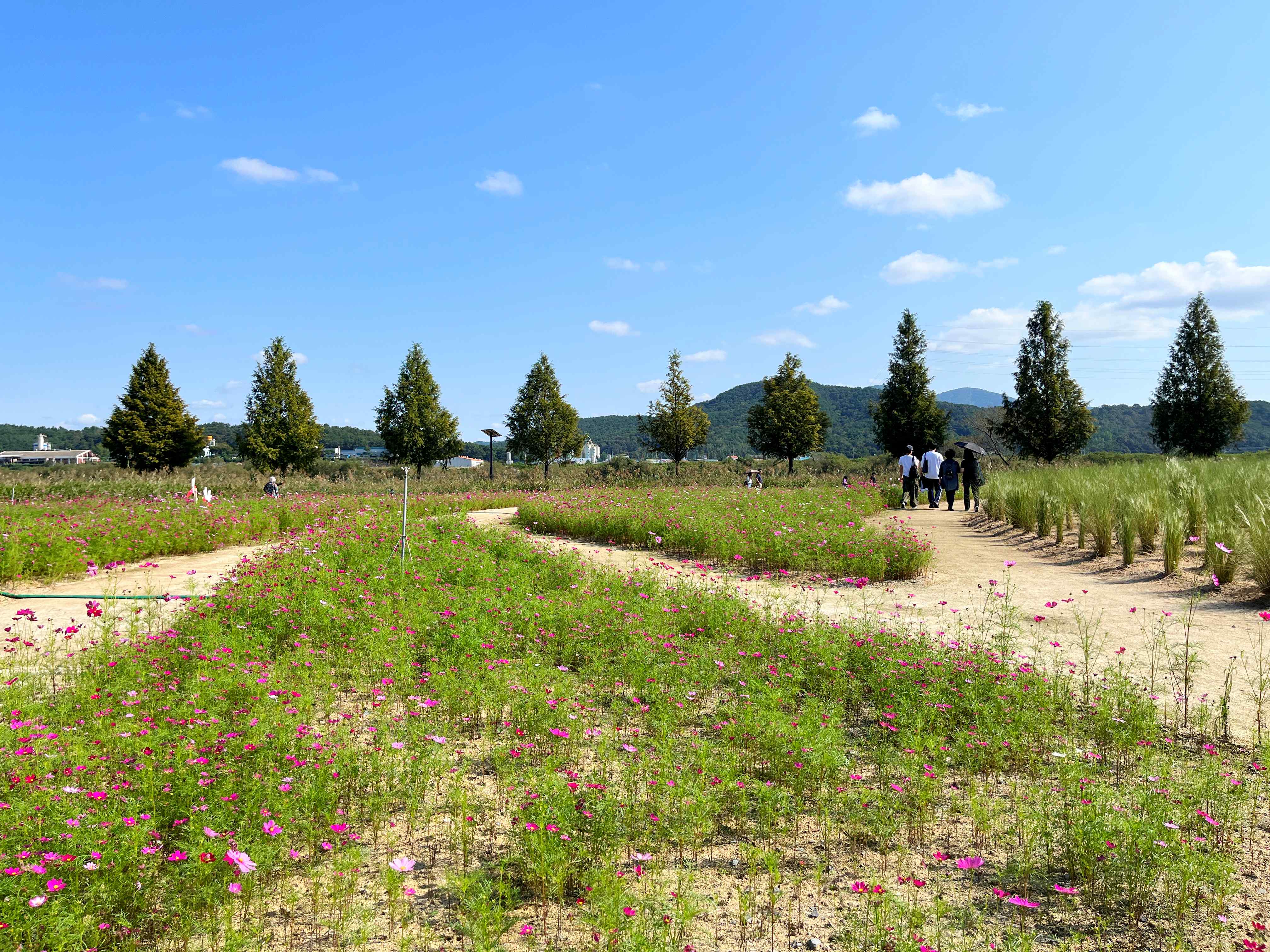 신소양체육공원