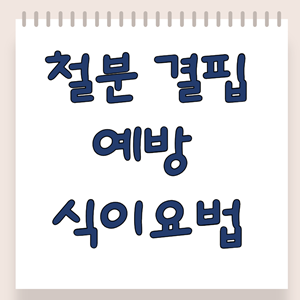 철분 결핍 예방 식이요법