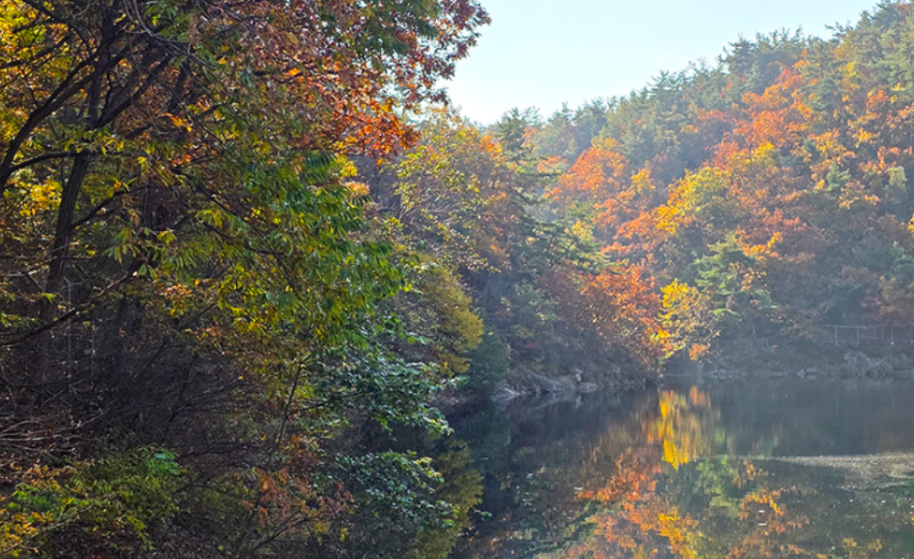 서울대 안양수목원