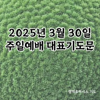 2025년 넷째 주일 낮예배 대표기도문 모음_12