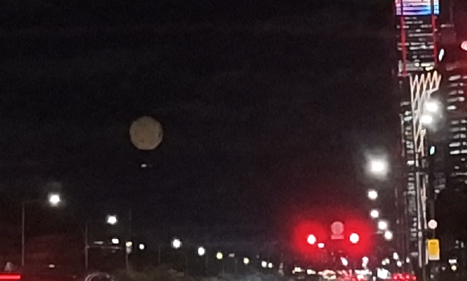 Alt 속성 문제 해결 설명 이미지