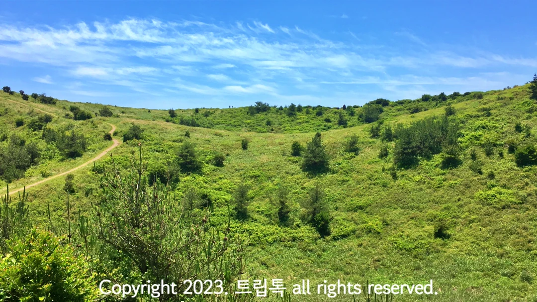 하늘 아래 푸른 산등허리에 여러가지 갈래길