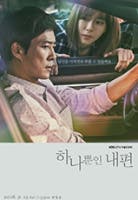 드라마 하나뿐인 내편 포스터