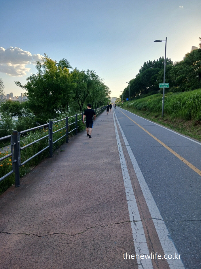 “Walking on a riverside path – flat walking exercise for calorie burn-강변 평지 산책로에서 걷기 – 걷기 운동의 대표 장면
