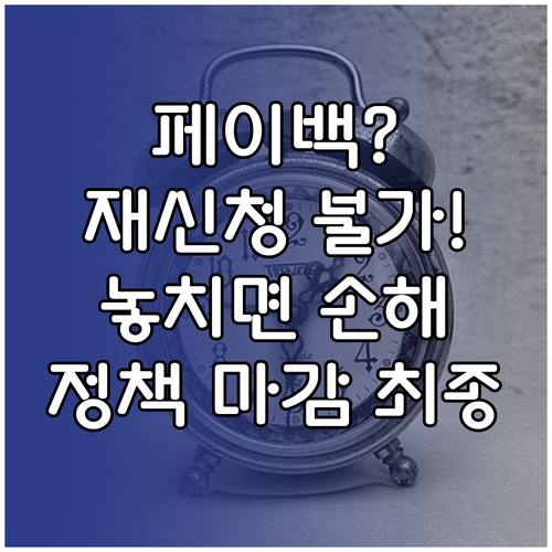 상생페이백 재신청 불가능, 정부 정책..