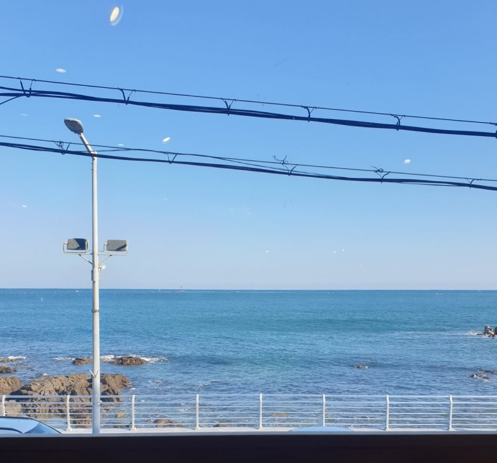 송정 바다뷰