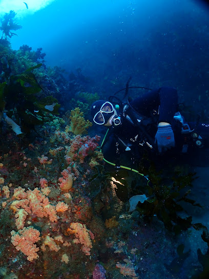 🐠 [국내여행과 스킨스쿠버] 핫플 BEST 10