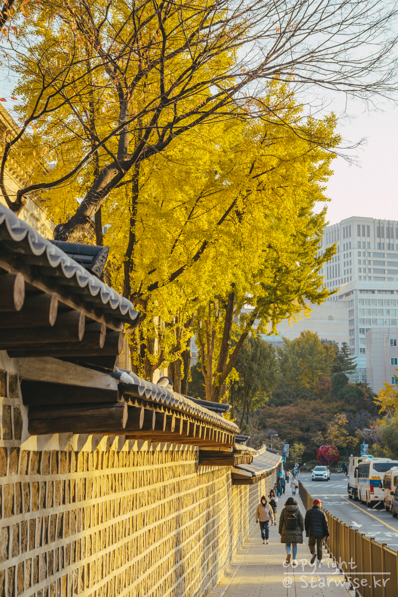 덕수궁 돌담길