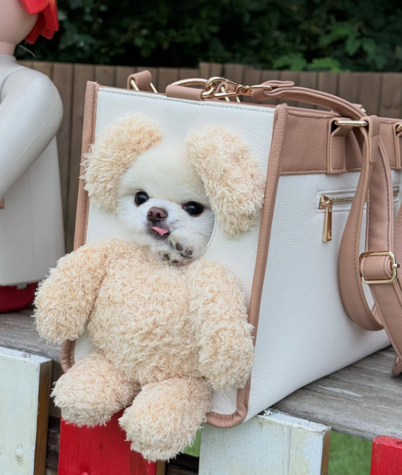 아키즈펫 빼꼼캐리어