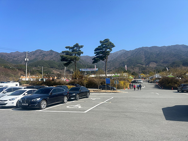 구례 산수유축제 기간 초대가수 맛집 주차