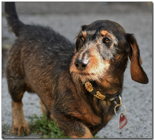 ๊ฐ์ ๋ฅ์คํํธ