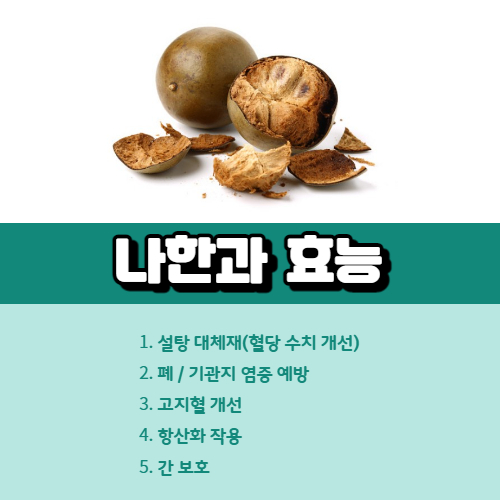 나한과 효능