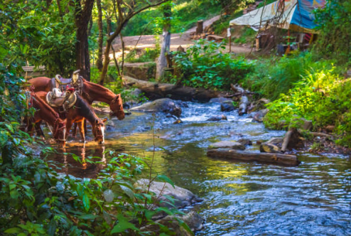 한국보다 더 한국 같은 해외 여행지 5곳