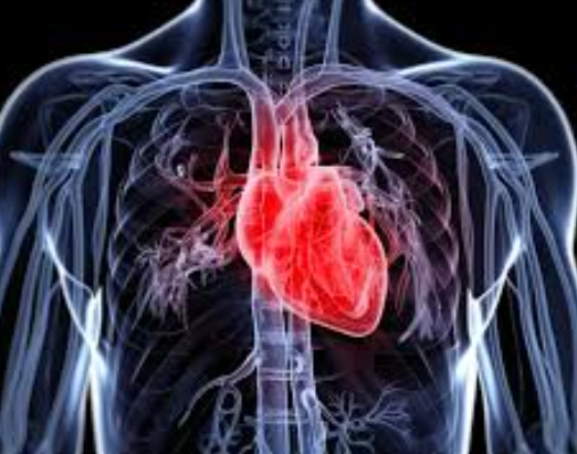 60๋ ํ์ก์ํ ๊ฐ์ , ์ง๊ธ ์์ํด์ผ ํ๋ ์ด์ ์ ์ค์ฒ๋ฒ