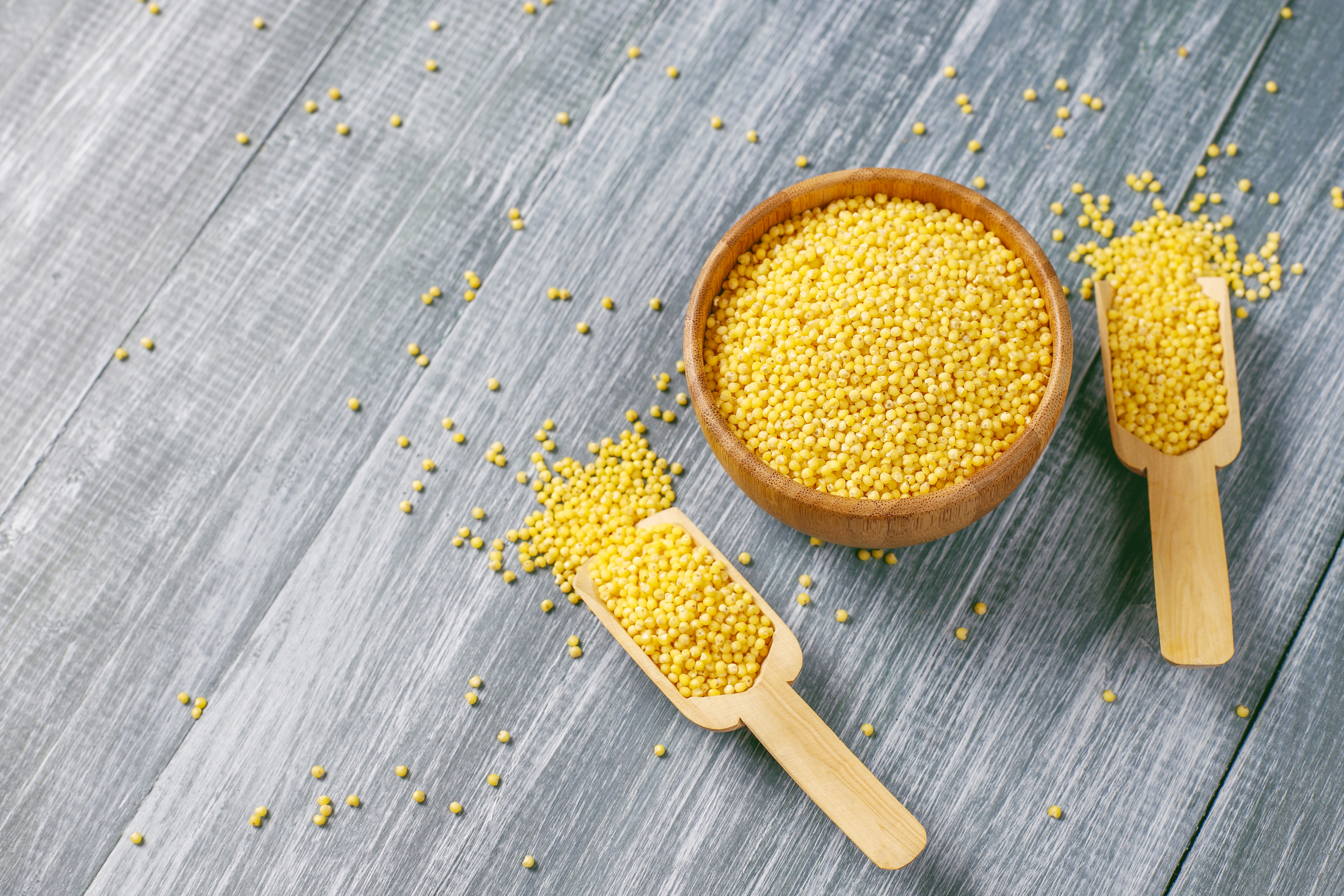 그릇과 나무 숟가락에 담겨 있는 메조 사진 - 소음인(少陰人)에게 맞는 음식