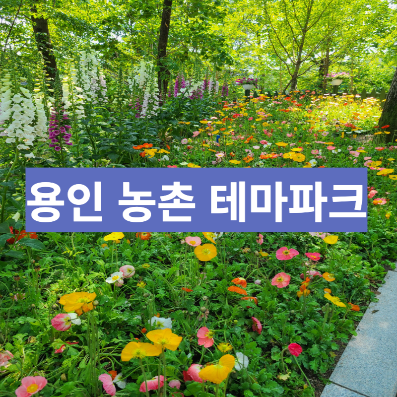 용인 농촌 테마파크