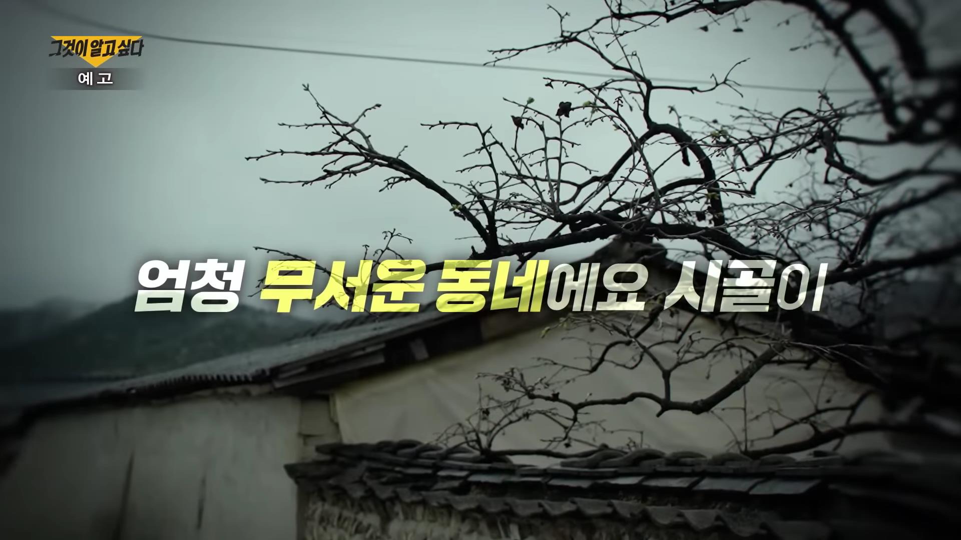 전남 지적장애소녀 집단 성폭행 사건 13명 공모자들 추악한 소문과 거짓말