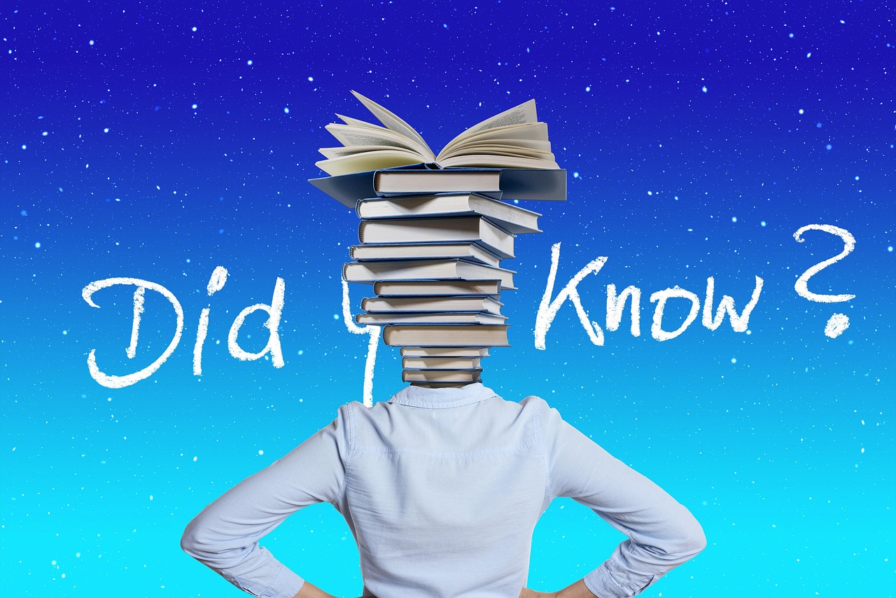 AI의 자기 학습 능력 &ndash; 자율적 판단은 어디까지 가능한가?