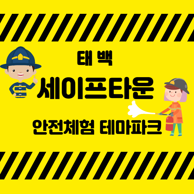 태백가볼만한곳