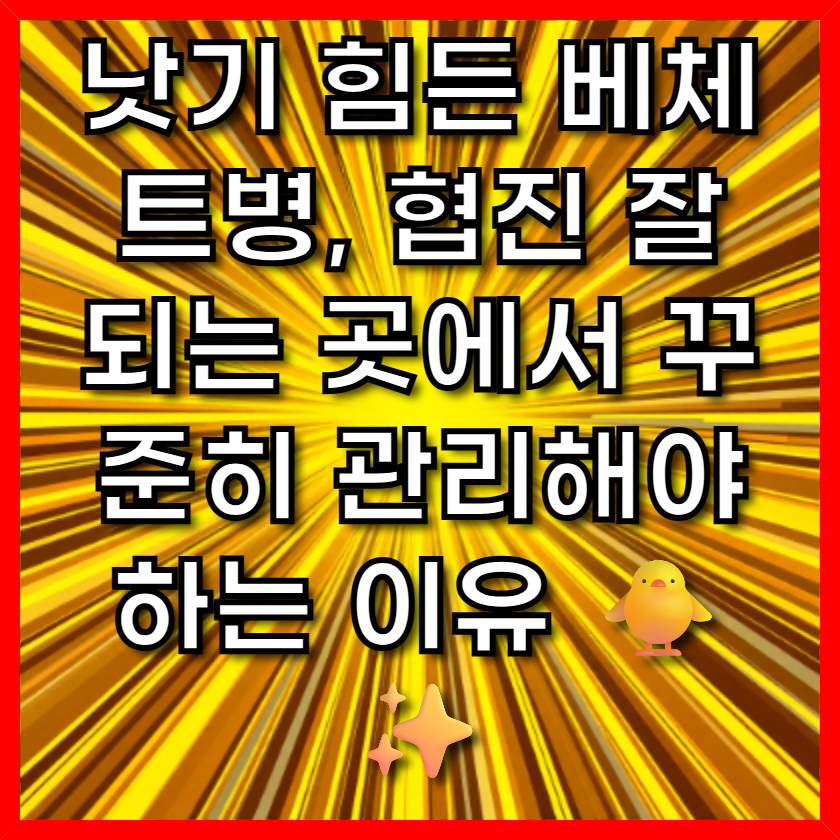 낫기 힘든 베체트병, 협진 잘 되는 곳에서 꾸준히 관리해야 하는 이유 🐥✨