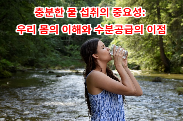 충분한 물 섭취의 중요성: 우리 몸의 이해와 수분공급의 이점