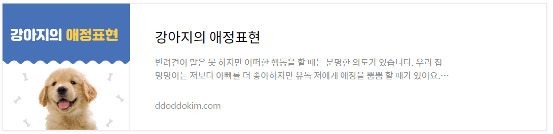 대구광견병예방접종지원