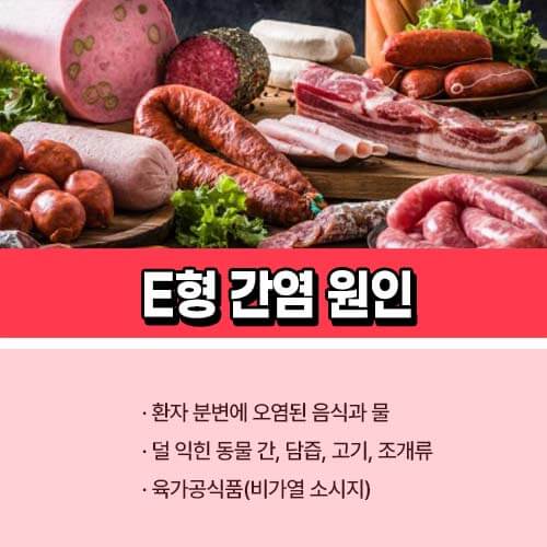E형_간염_원인