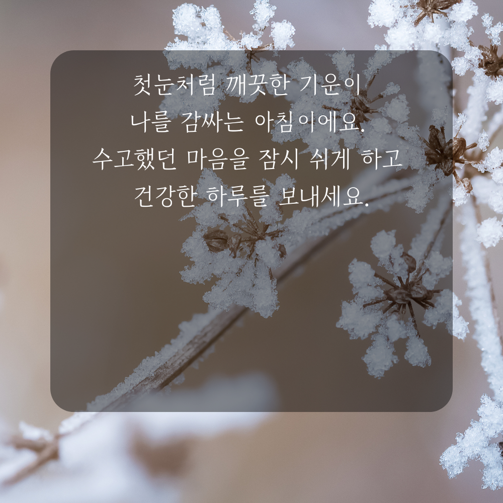 소설 인사말 겨울 인사말 이미지 문구 안부글 오음집 11월