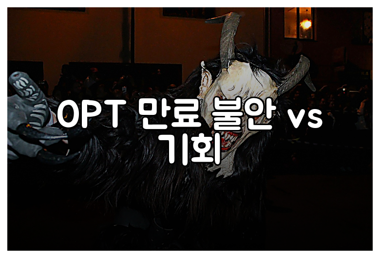 OPT 만료 불안 vs 기회