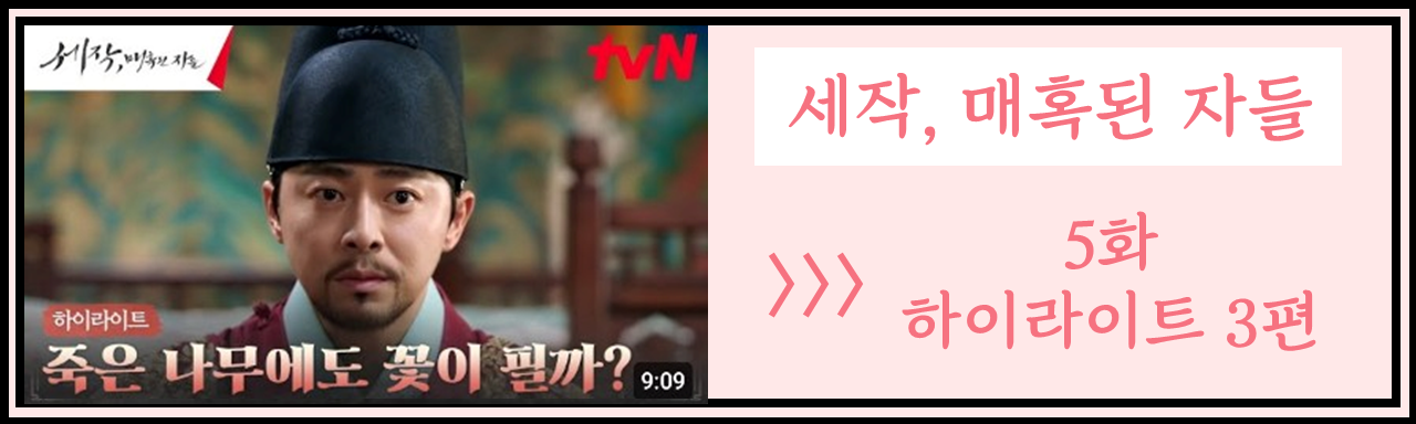 세작, 매혹된 자들 줄거리