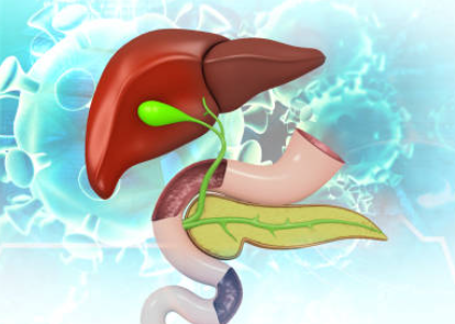 담낭&middot;담도암 담낭&middot;담도암 