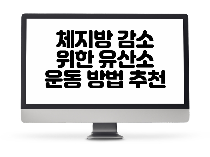 체지방 감소를 위한 유산소 운동 방법 추천