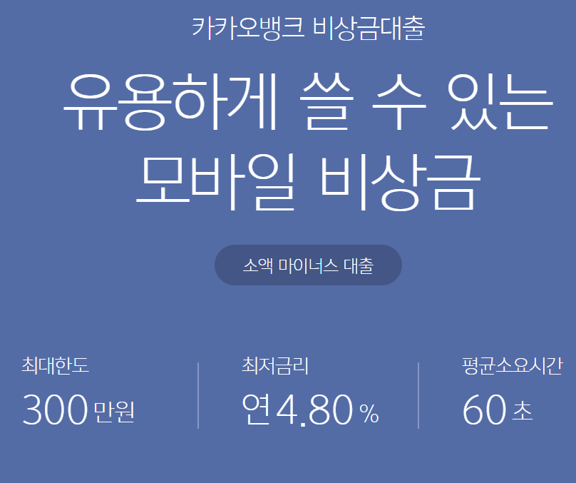 비상금 대출