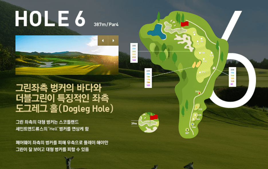 나인브릿지 CC의 코스 공략도 15