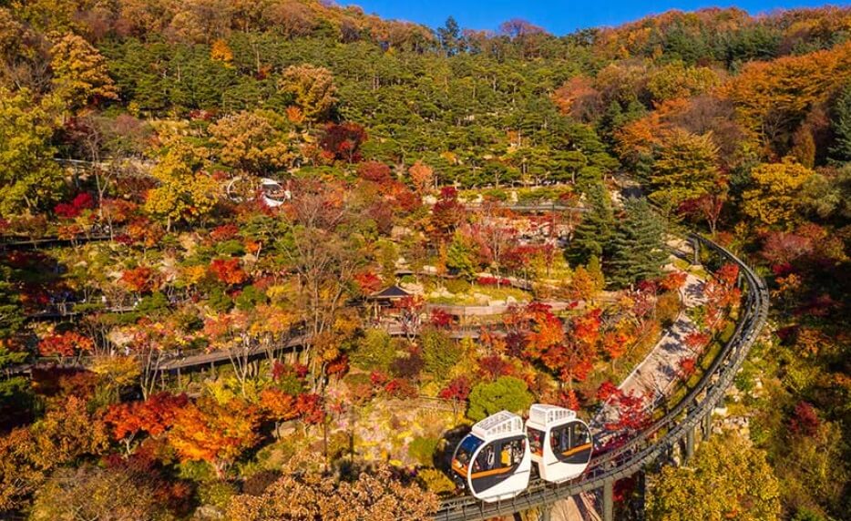 2024년 화담숲 가을 단풍 절정 시기