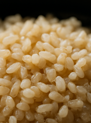 현미밥 맛있게하는법