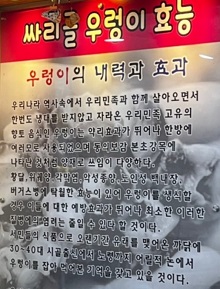 우렁이효능
