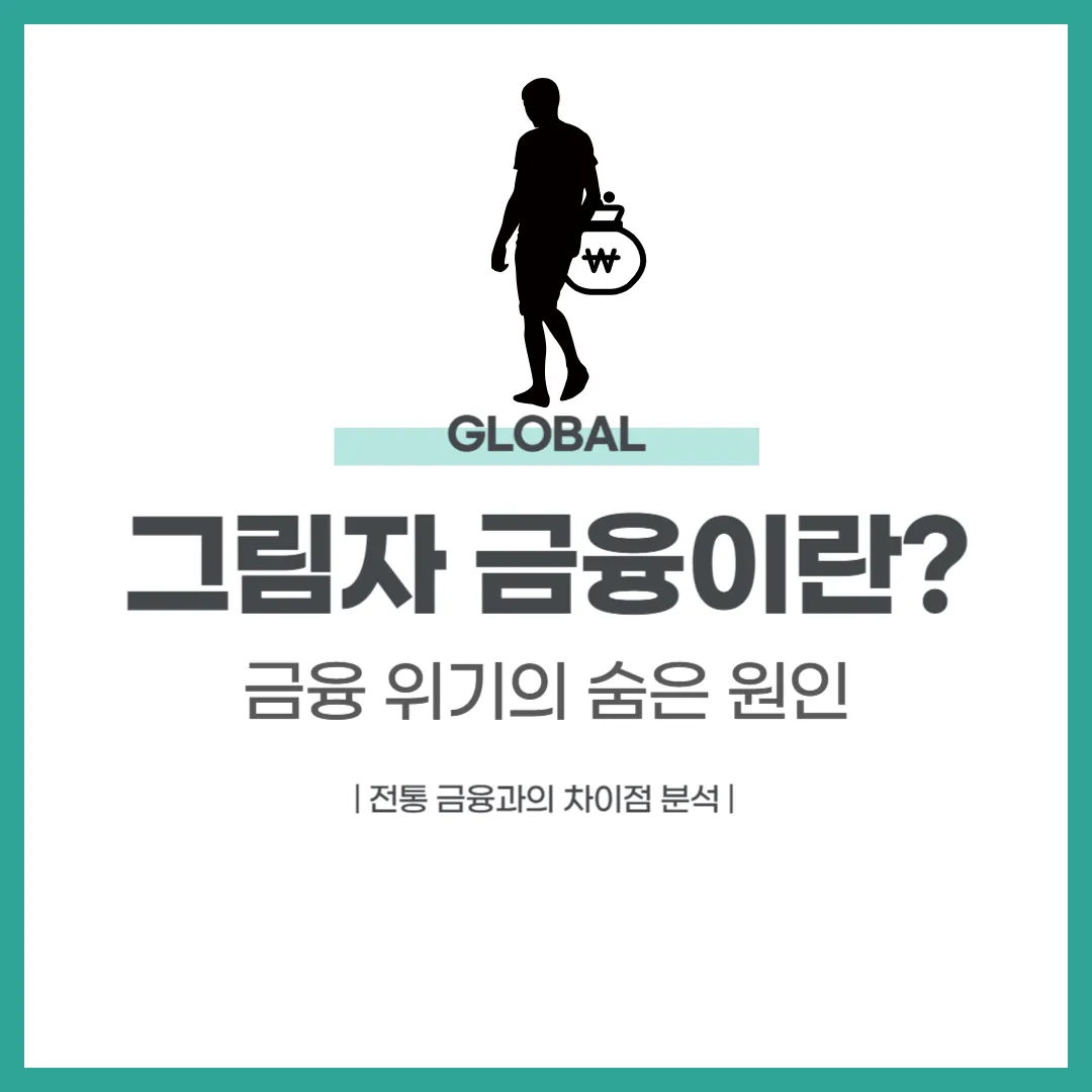 그림자 금융이란