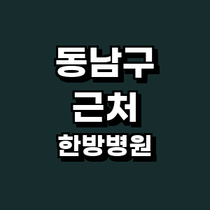 천안 동남구 한방병원