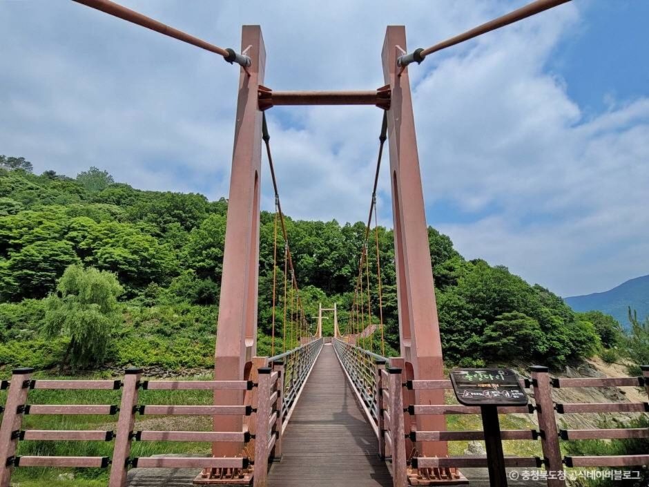 충주호 출렁다리 종댕이길