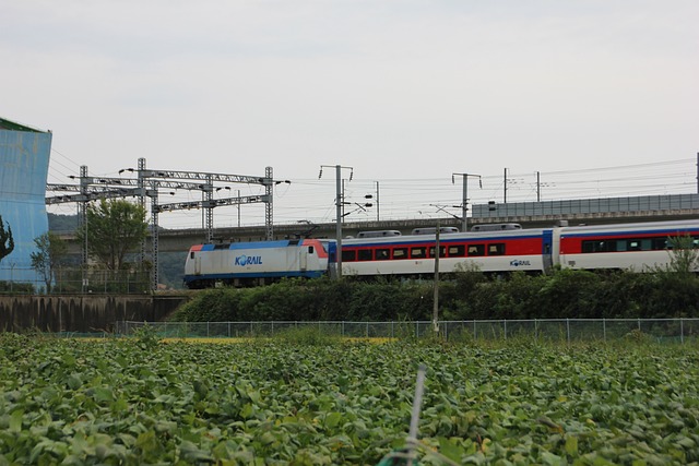 2023년 설연휴 기차표 예매안내