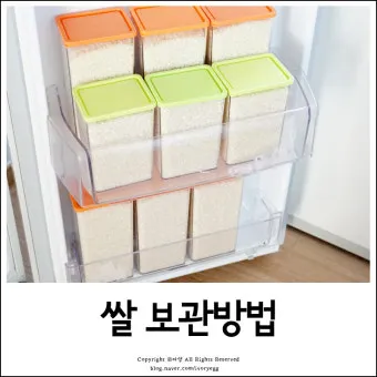 쌀 보관 김치냉장고 벌레 페트병 건식 보관 요령_6